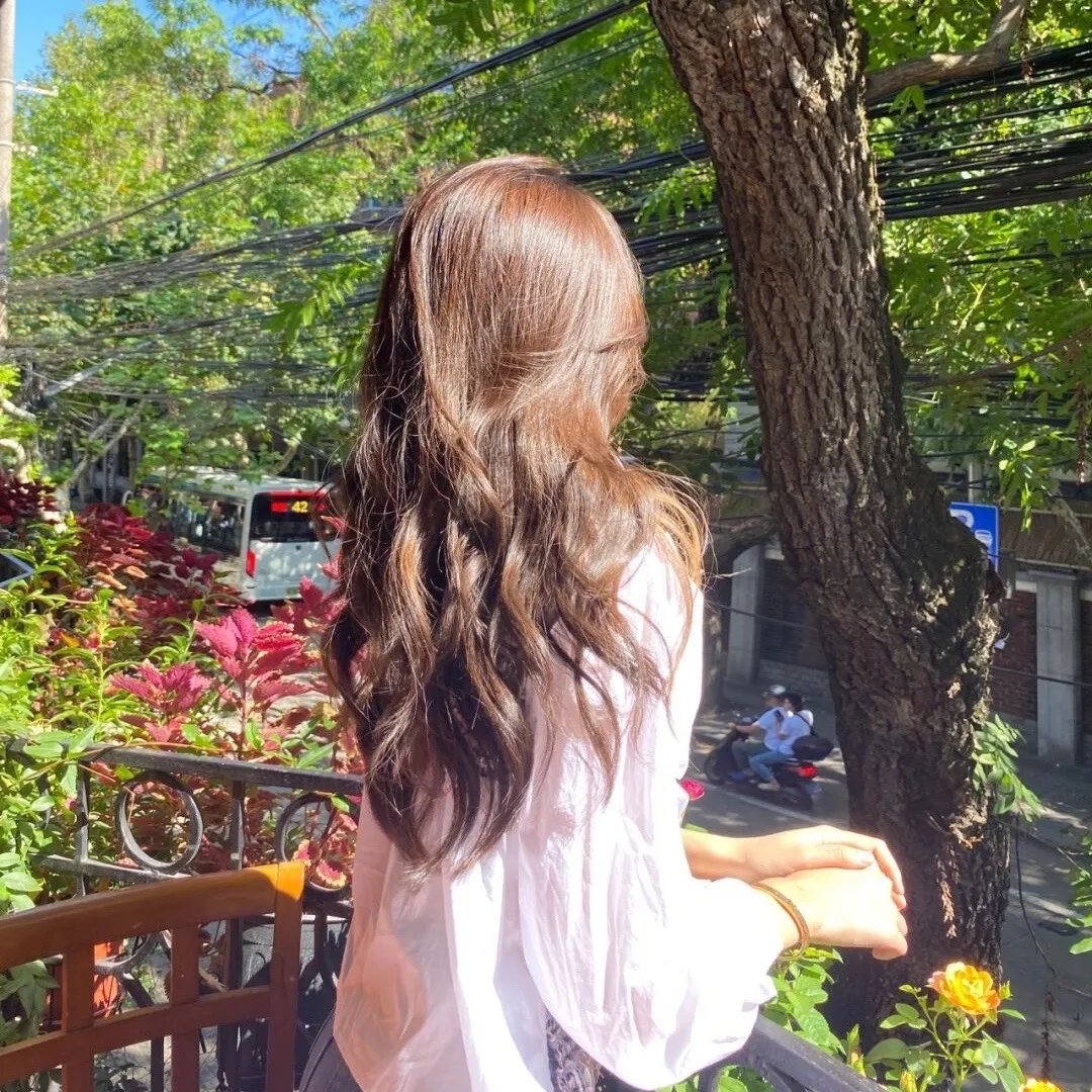 春光灿烂小家丁